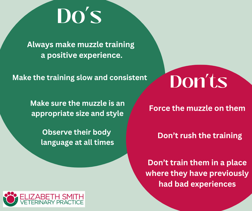 Muzzle Training, Do's and Don'ts